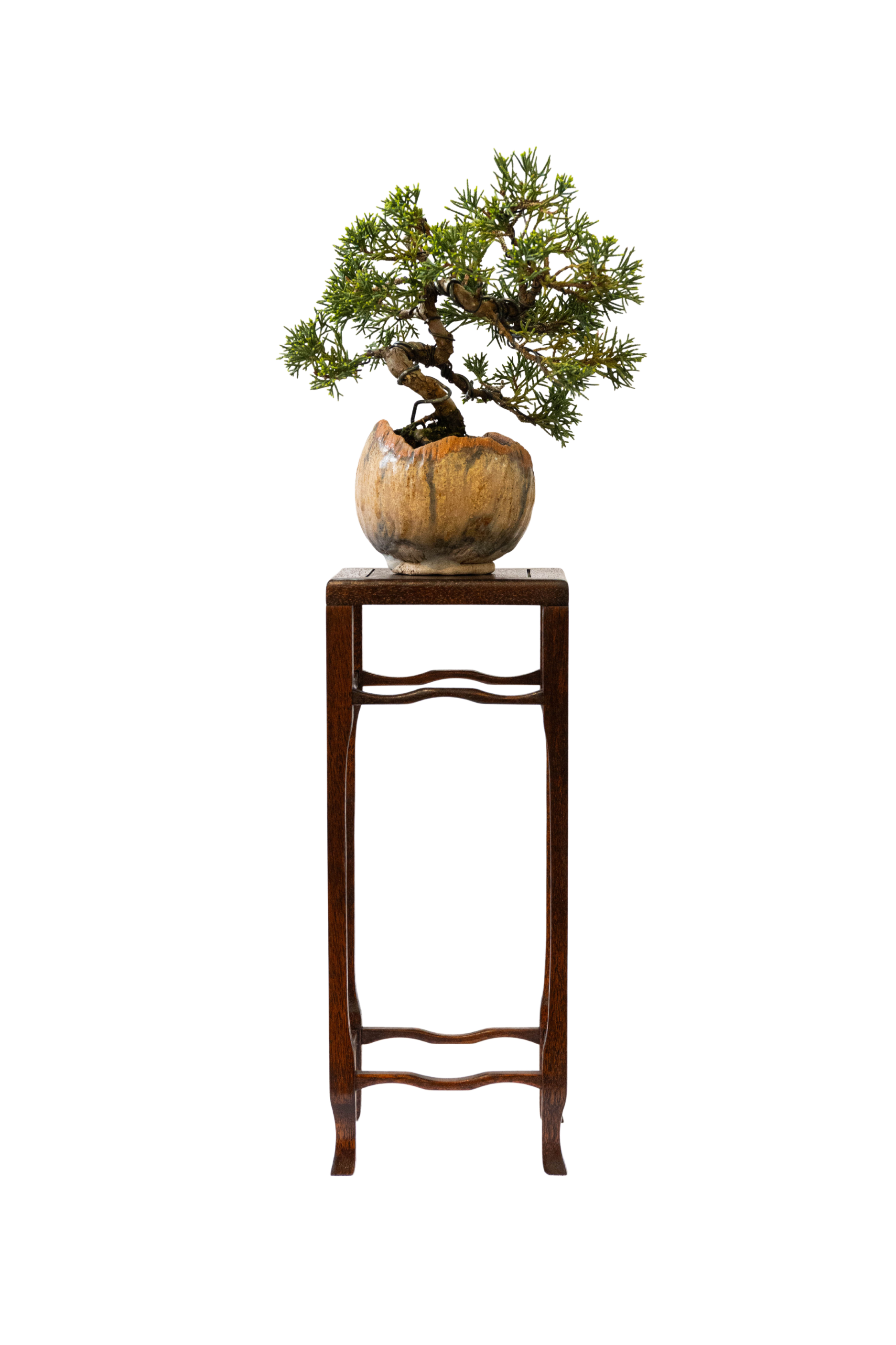 Bonsai Stands — J.M. Stewart Guitars & Fine Woodworking